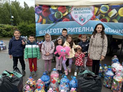 Зайчета 7