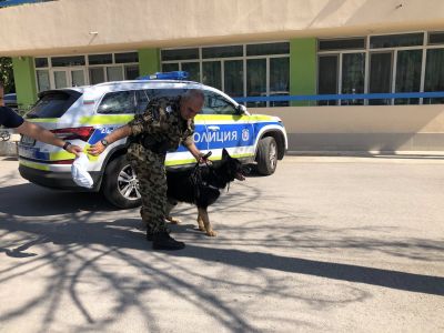 29 юни - Национален ден на безопасност на движението по пътищата 3